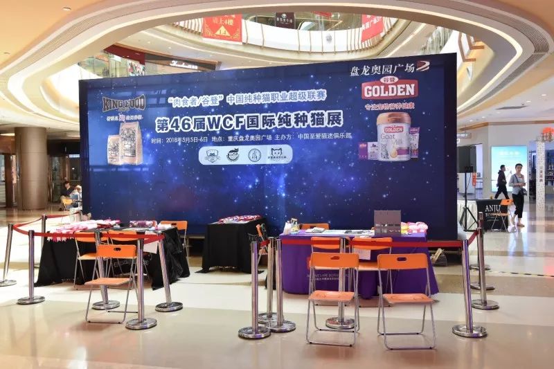 �ȵ���ҫ||��46��WCF���ʴ���èչ��