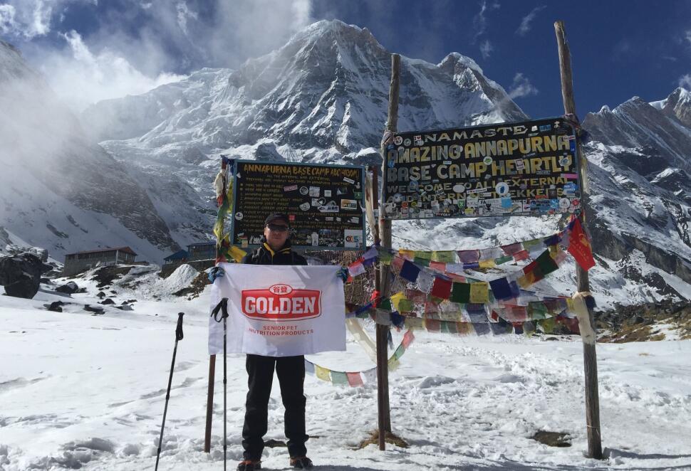 �������ģ�����ǰ��---�ȵ���һ�Ρ�