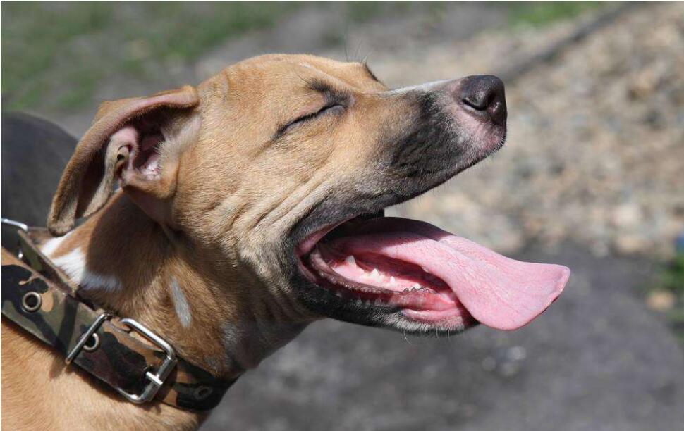 ΢��Ԫ���㼰ʱ���������������