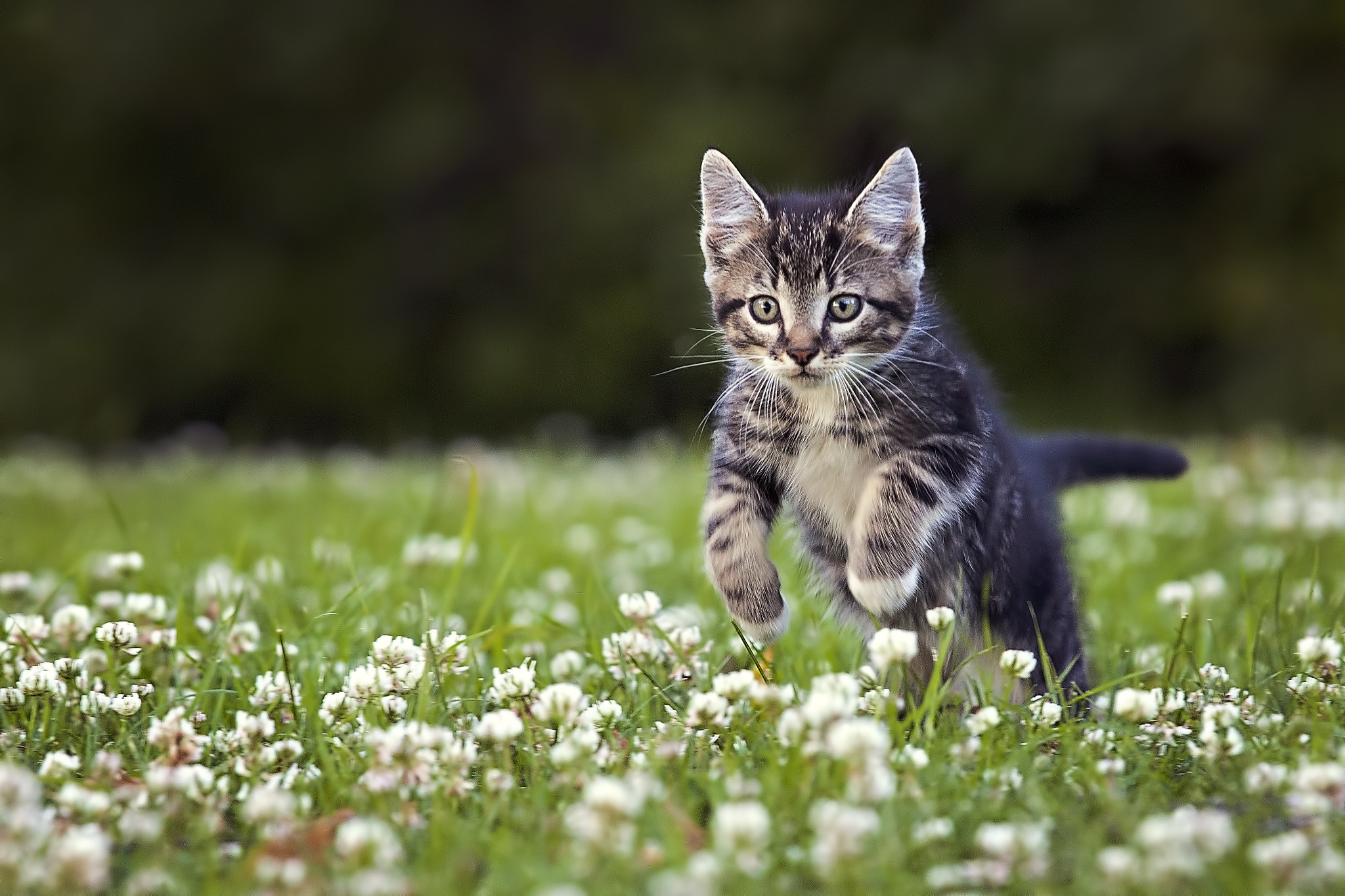 è�䲻�����̷���ô���£���ʺ����Ҫע����