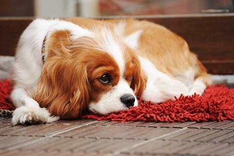 ������θ���ó��˳�θ�����������ܱ�����ô