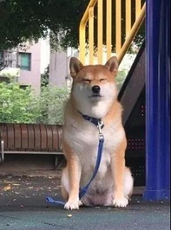 �����ű�������ܱ��ظ���ô�죿���ƹ�����