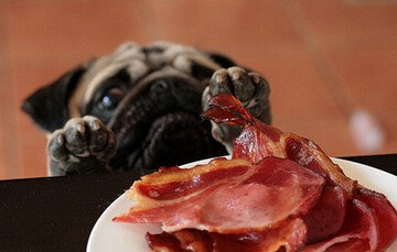 ��������ô���£��ܿ����ǳ�θ�������⣬