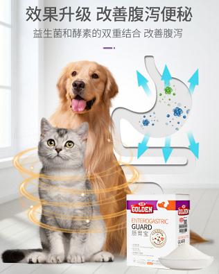 �ȵǳ�θ�������������ͽ��ص�˫�ؽ��