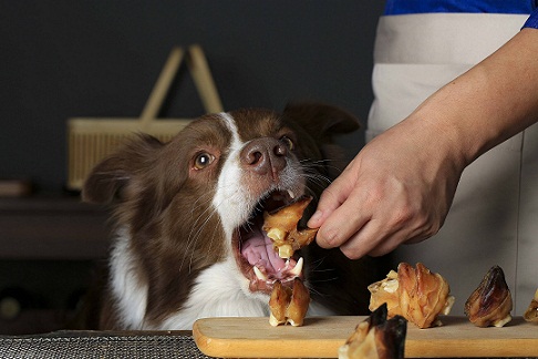 �ȵǳ�θ�������� �������ھ�Դ �����ͥ��