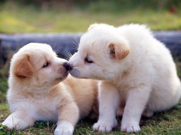 �ȵǳ�θ�� ������ġ���θ�ܼҡ�