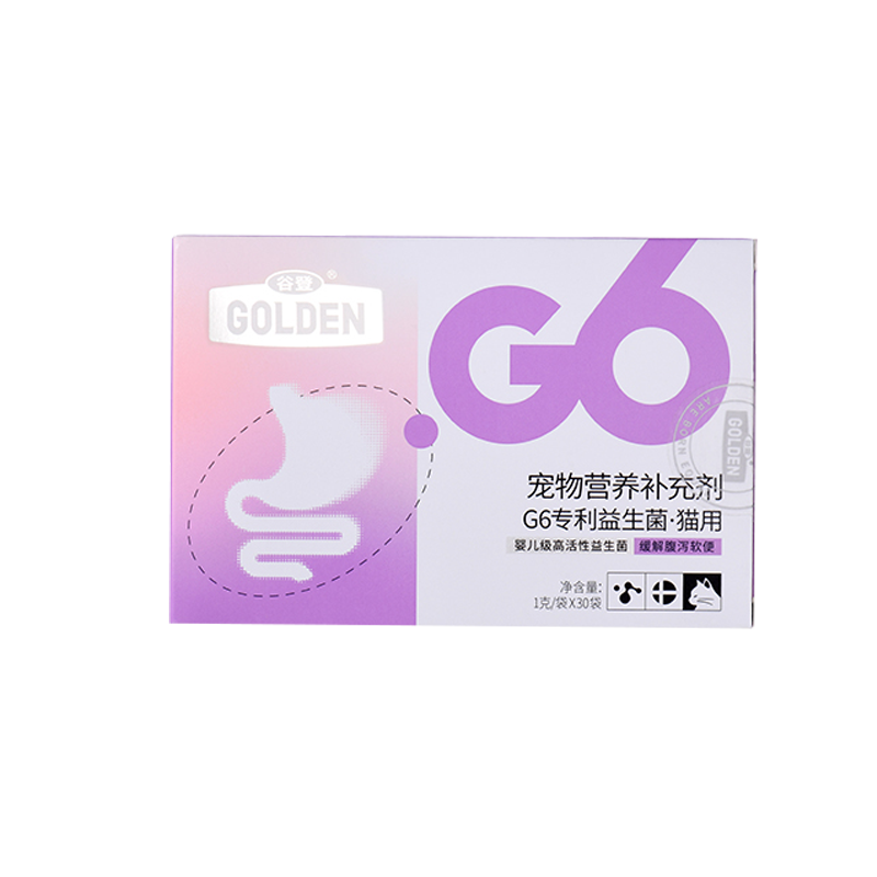 <strong>G6ר����������è�ã�</strong>