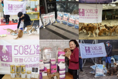 �ȵ�50g��������б���������������������