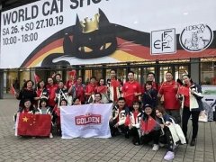 FIFE����èչ|�ȵ�Ʒ��Ϊ�й���è�� 